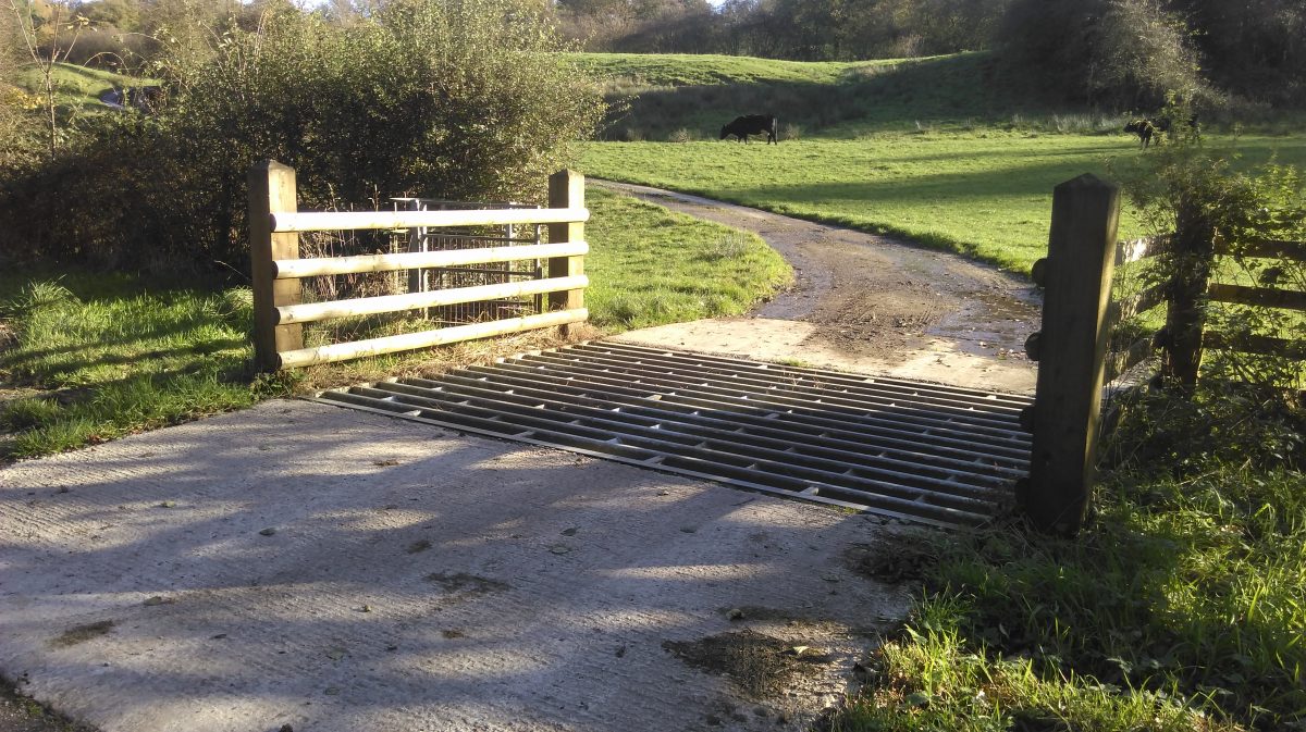 What is a Cattle Grid?